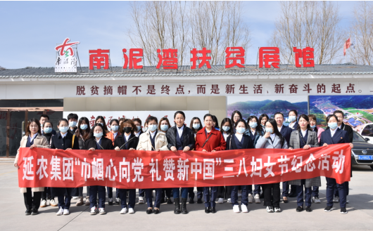 延农集团开展“巾帼心向党 礼赞新中国”  三八妇女节活动